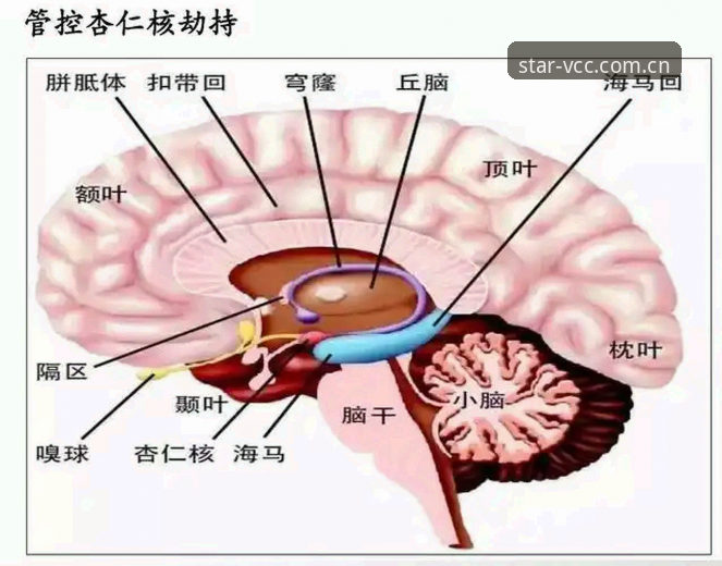 中国创想赛事数据 赛事数据的底层逻辑——中国创想VCC5迭代版实用解读